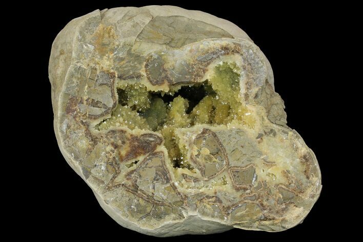 Yellow Crystal Filled Septarian Geode - Utah #157075